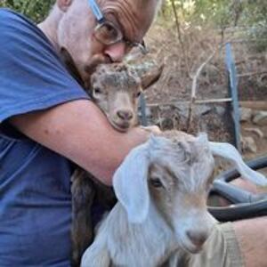 mick_wilkinson avatar