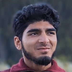 sulaimanghori avatar