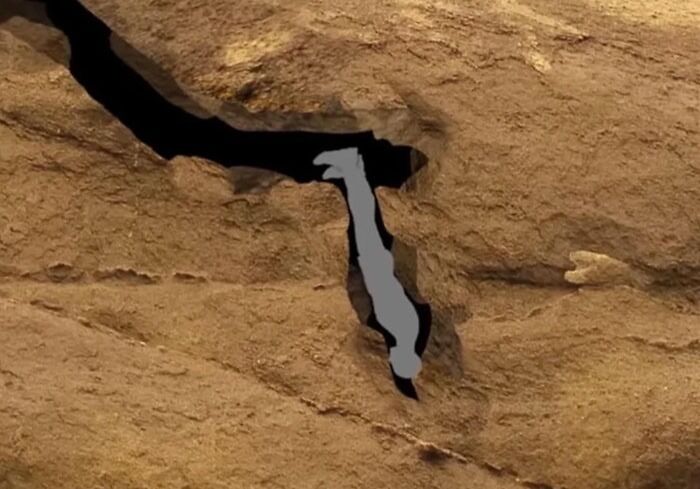 Suddenly My Life Isn’t So Bad