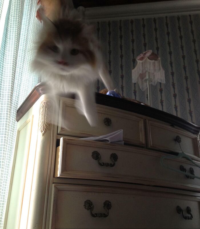 Justo antes de ser atacada