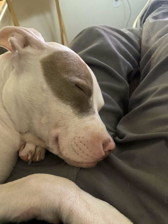 Adopted This 4 Month Old Girl Today