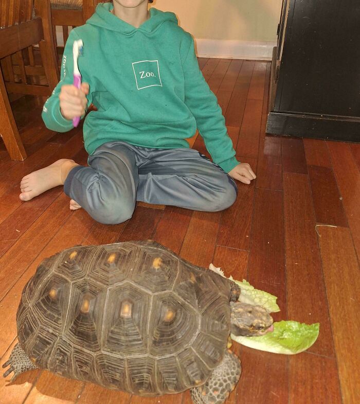 I Just Adopted This Girl From An Elderly Couple