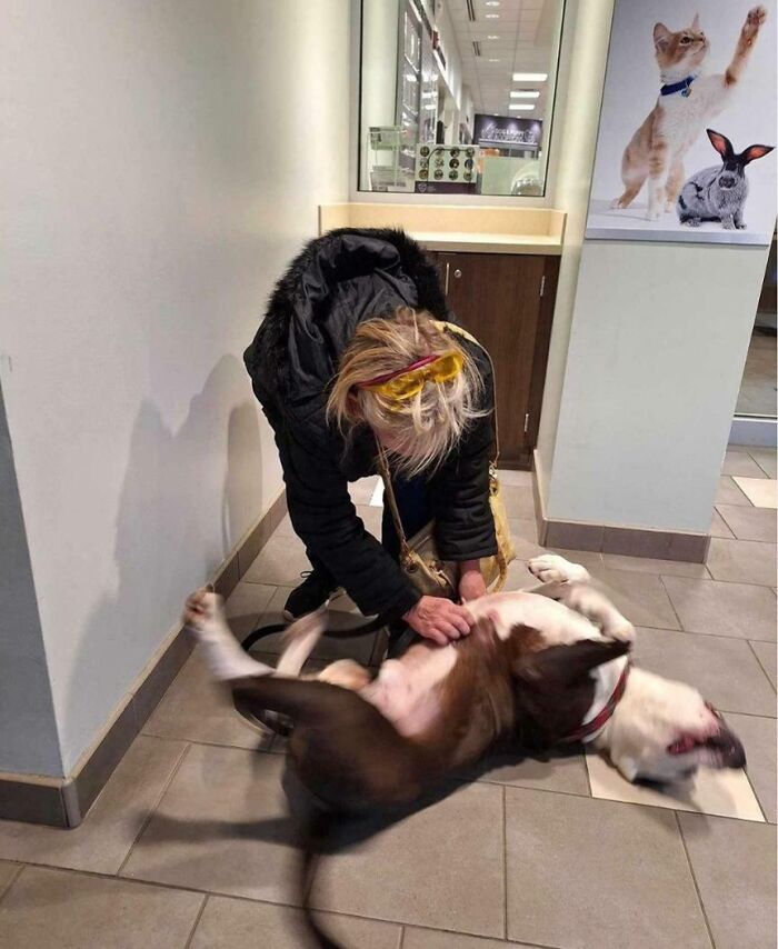 Titan Was Cleveland Animal Protective League's Longest Resident (315 Days). He Was Adopted Yesterday