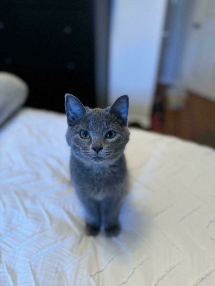 Just Adopted This Little Monster!