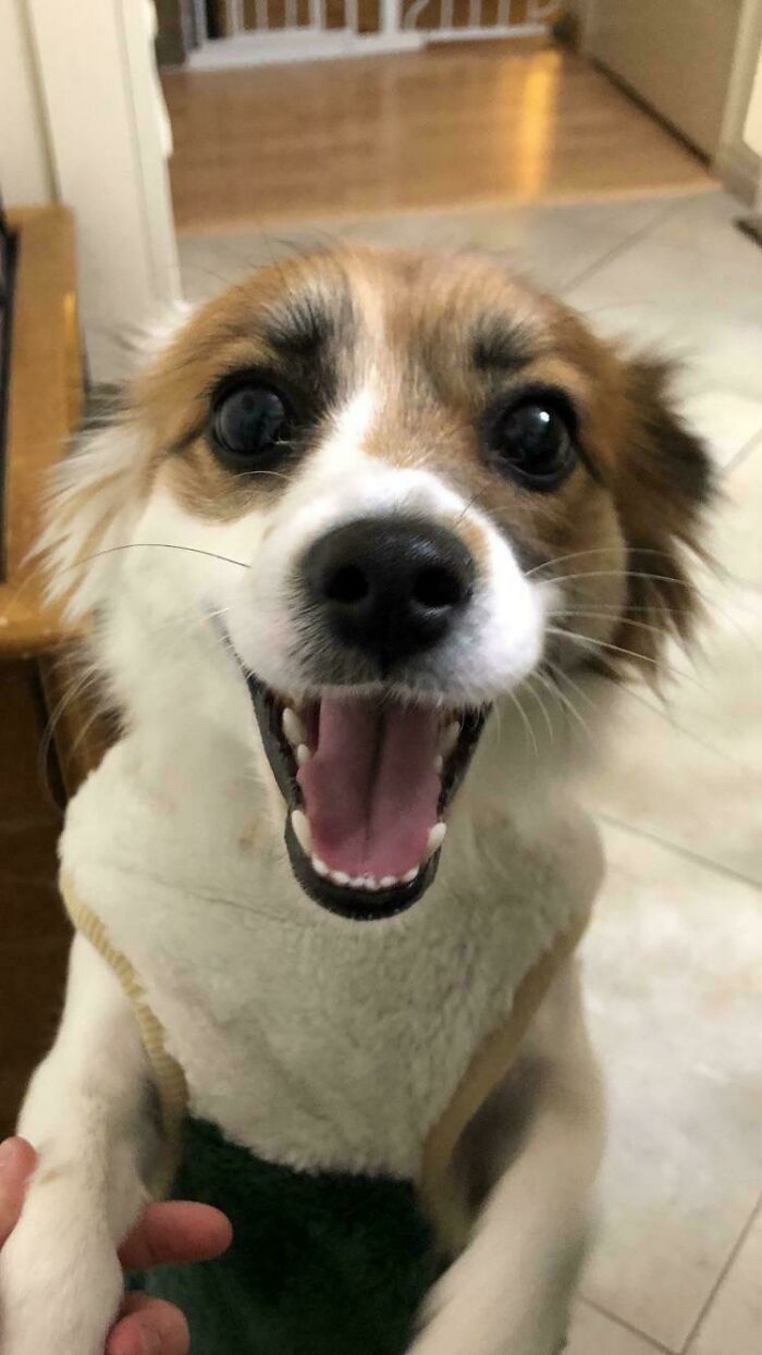 Missy’s Adoption Smile