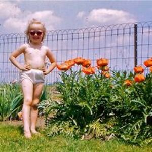 smallfryefarm avatar