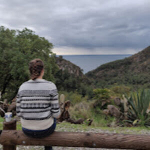 sofiewalraven avatar