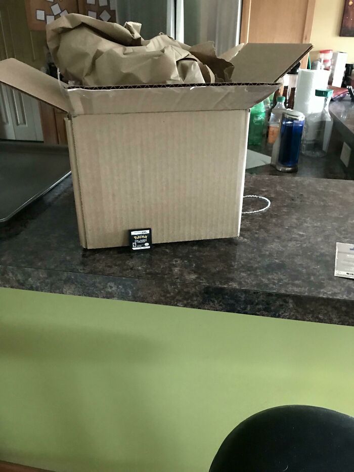 This Box Was For One Little Ds Game