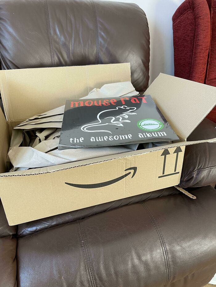 Bought 2 Vinyl Records. One Came In A Normal Slim Cardboard Sleeve, The Other Came Like This