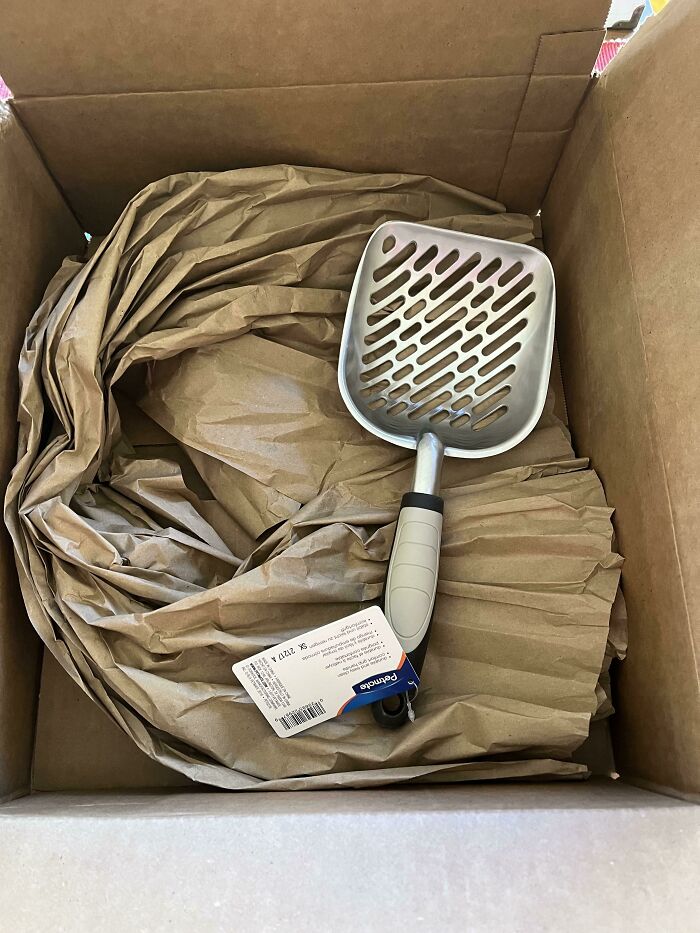 All This Space Just For A Scoop