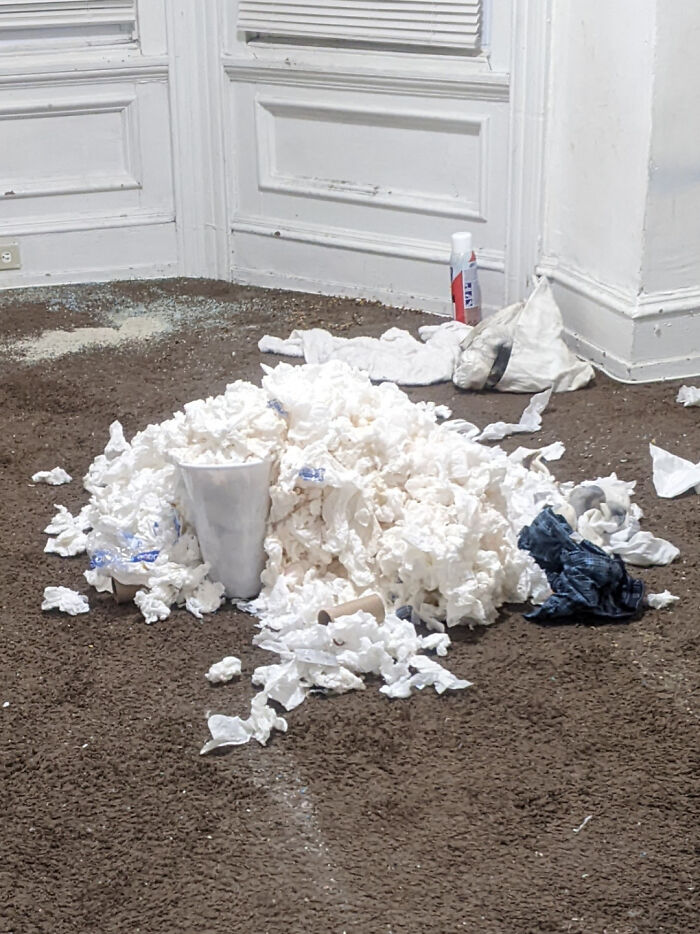 The Least Hygenic Person I've Ever Met Just Moved Out And Left This. It Is Exactly What You'd Hope It's Not