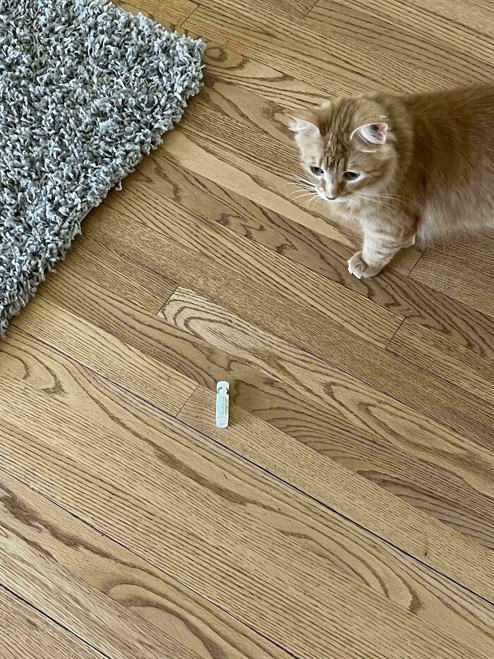 My Roommate Constantly Steals My Chapstick…