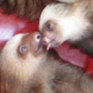 mollyflaherty avatar