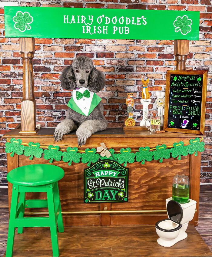 We Have The St. Paddy’s Day Spirit