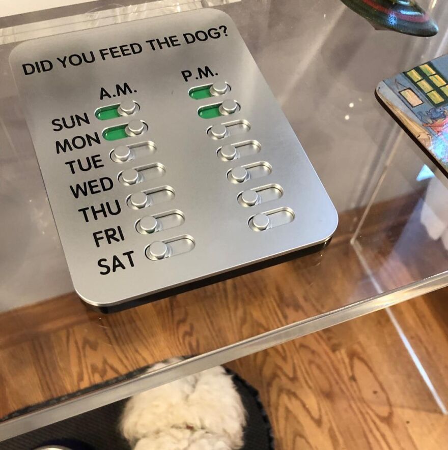 Never Forget Feeding Time Again: Simplify Pet Care With The 'Did You Feed The Dog?' Pets Feeding Reminder 