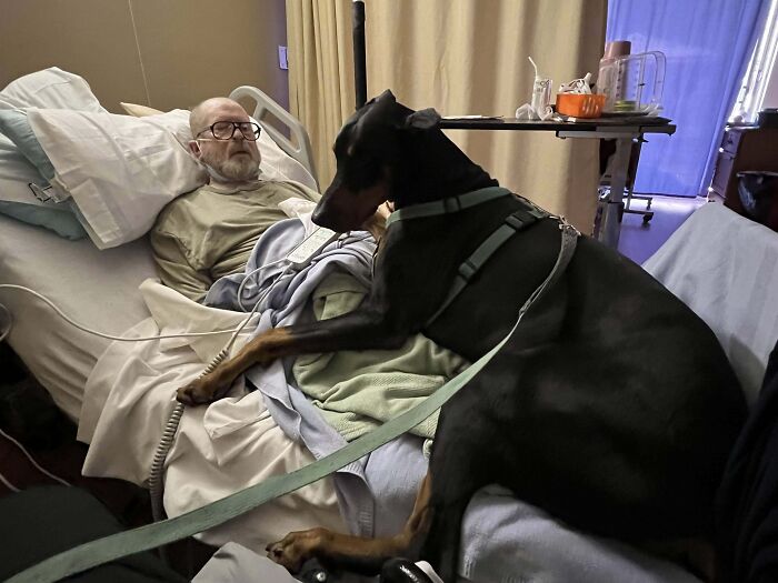 Mi tío y su perrazo Mody