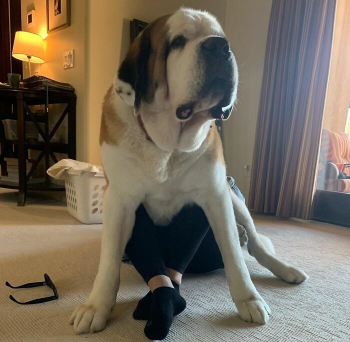 Best Seat In The House