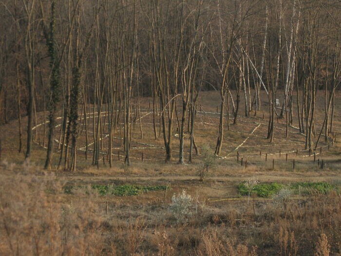 Folks Share The Most Disturbing Things They’ve Seen While Camping And Here Are 30 Of The Scariest