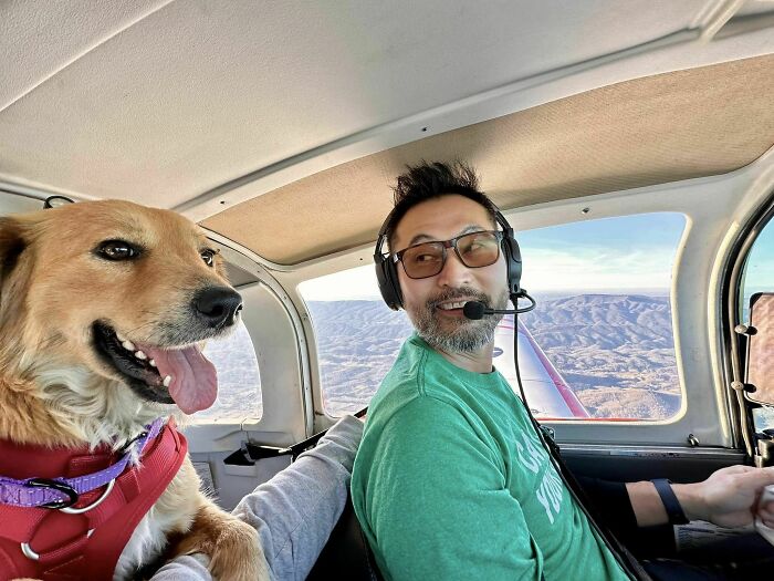 Saved After 8 Days In A Shipping Container, Connie The Dog Is Revealed To Be Expecting Saved After 8 Days In A Shipping Container, Connie The Dog Is Revealed To Be Expecting