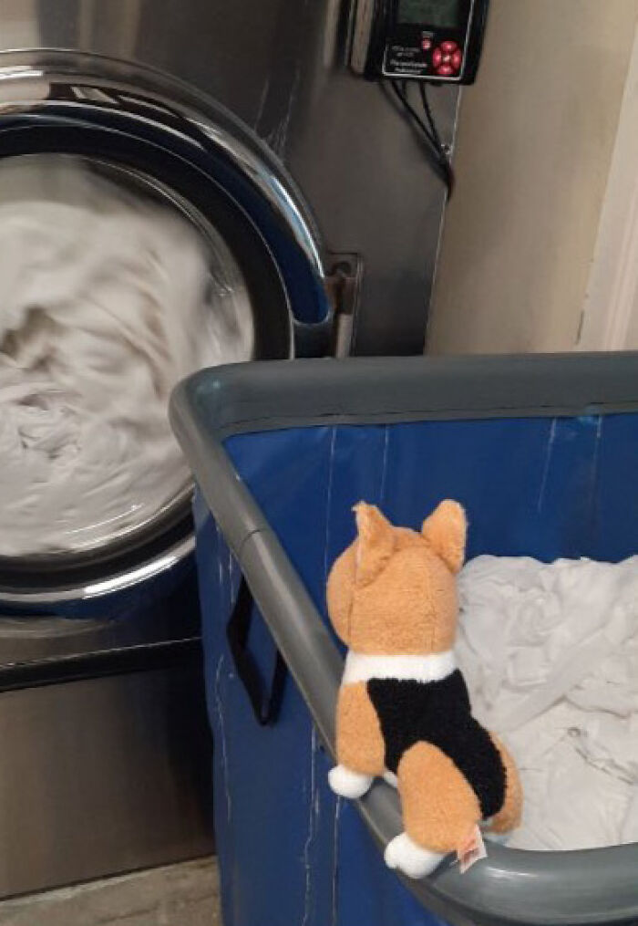 Family Was Distressed After Son’s Toy Was Left Behind Until Hotel Staff Saved The Day Family Was Distressed After Son’s Toy Was Left Behind Until Hotel Staff Saved The Day