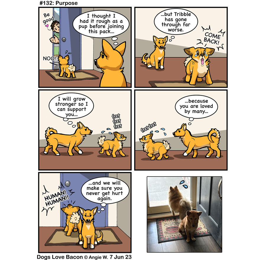 I Draw Comics About The Lives Of Four Rescue Dogs!