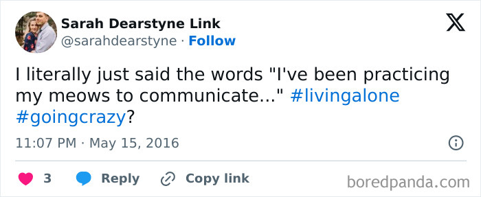 Living-Alone-Funny-Tweets