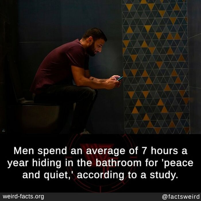 You Guys Just Sit There? Sad, Shitting Used To Be Such A Personal And Reflective