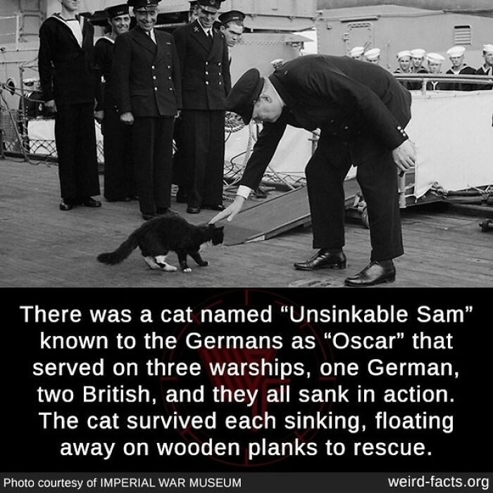 If Rose Had Been There, She Wouldn't Share The Door