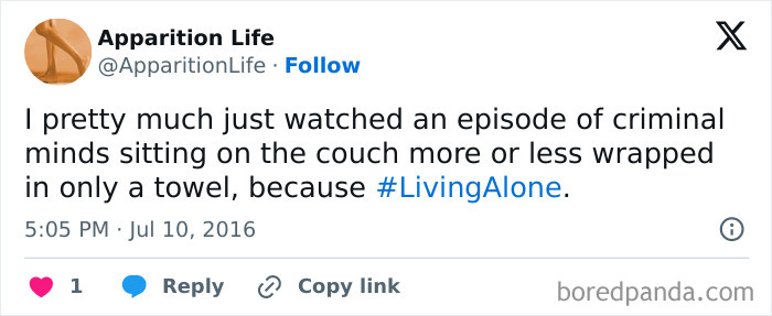 Living-Alone-Funny-Tweets