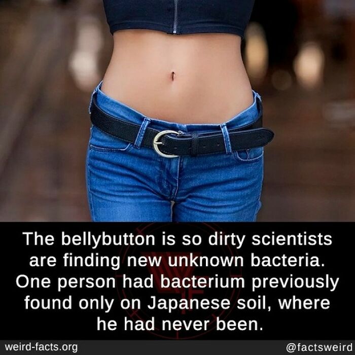 Seems Like He Hasn’t Cleaned His Belly Button In Some Years