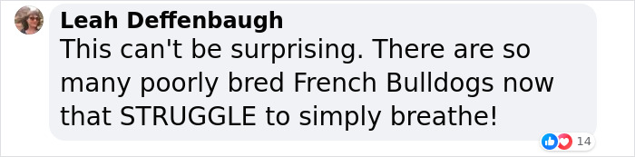 New Study Of 150 Dog Breeds Finds Size, Gender, And Nose Shape All Correlate With Dog Lifespan New Study Of 150 Dog Breeds Finds Size, Gender, And Nose Shape All Correlate With Dog Lifespan