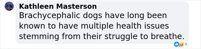 New Study Of 150 Dog Breeds Finds Size, Gender, And Nose Shape All Correlate With Dog Lifespan New Study Of 150 Dog Breeds Finds Size, Gender, And Nose Shape All Correlate With Dog Lifespan