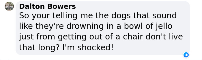 New Study Of 150 Dog Breeds Finds Size, Gender, And Nose Shape All Correlate With Dog Lifespan New Study Of 150 Dog Breeds Finds Size, Gender, And Nose Shape All Correlate With Dog Lifespan