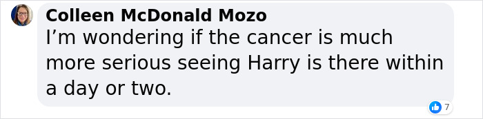 Prince Harry Receives Tepid Welcome In London As King Charles Leaves Meeting After 45 Minutes