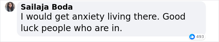 Comment by Sailaja Boda expressing anxiety about living in a dystopian Chinese apartment building housing 20K residents.