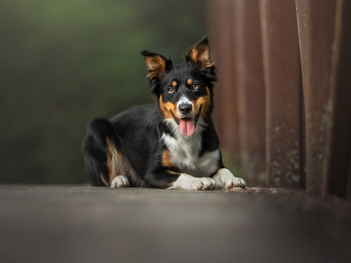 "Ascent" (Series) By Grace Fieselman