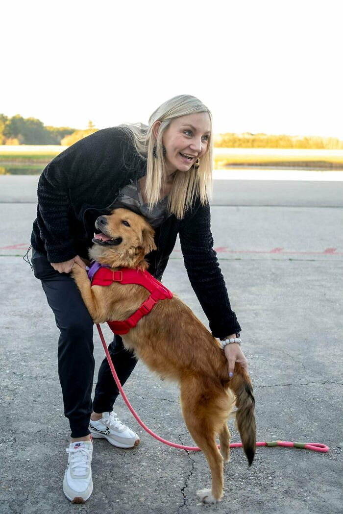Saved After 8 Days In A Shipping Container, Connie The Dog Is Revealed To Be Expecting Saved After 8 Days In A Shipping Container, Connie The Dog Is Revealed To Be Expecting