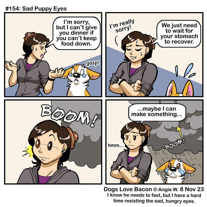 Comic showing the funny reality of being a dog owner with sad puppy eyes and a hesitant owner deciding what to do.