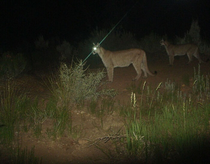 Folks Share The Most Disturbing Things They’ve Seen While Camping And Here Are 30 Of The Scariest