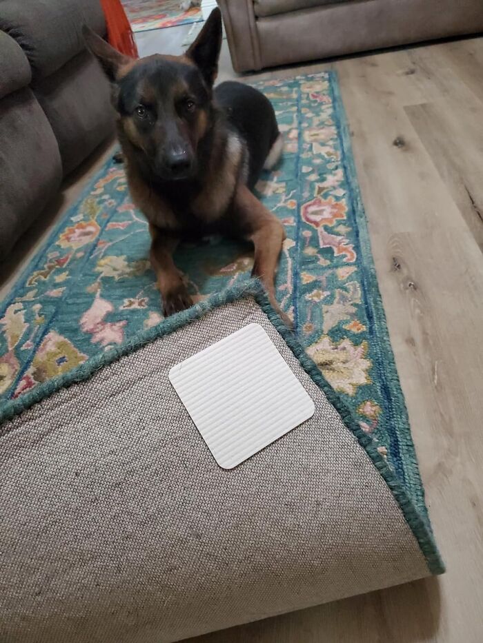 No Slip, All Grip: Home Techpro Rug Pad Gripper - Clean Floors, Cleaner Tech!