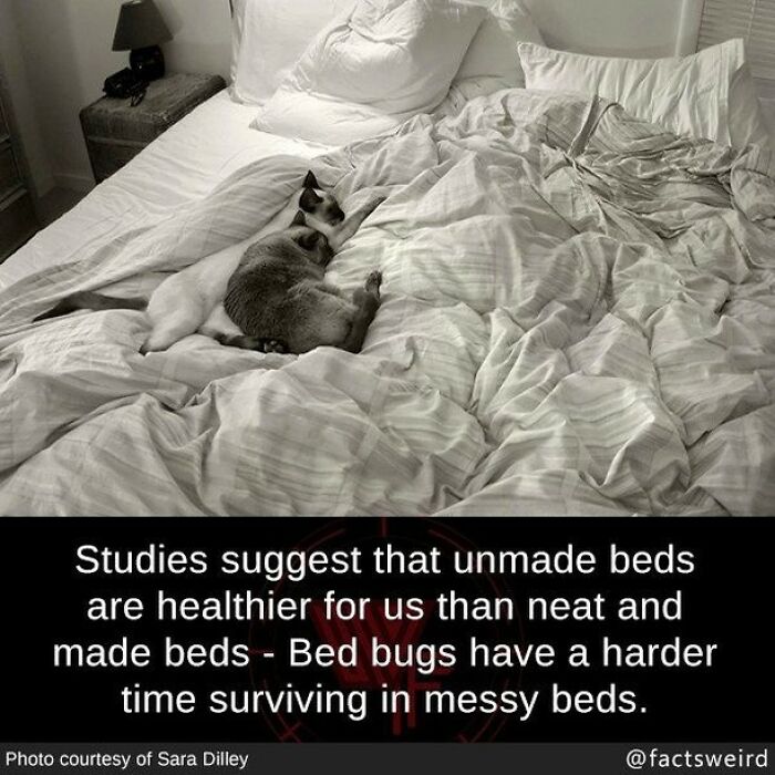 Lol I Just Moved In With My Boyfriend And He Saw This And Sent It To Me Nope Sorry Babe Still Making The Bed