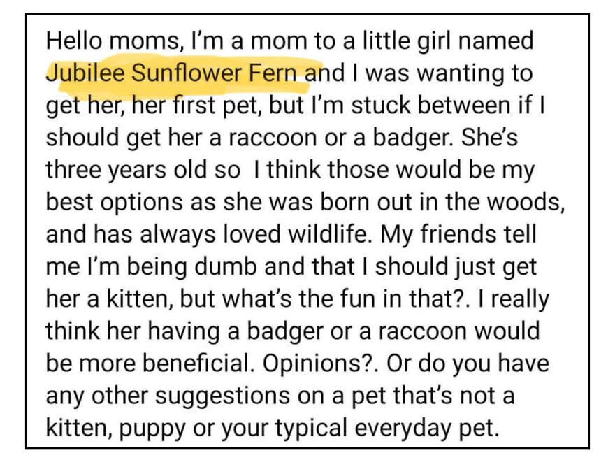 Text about a mom considering a pet for her child named Jubilee Sunflower Fern, debating between a raccoon or badger.