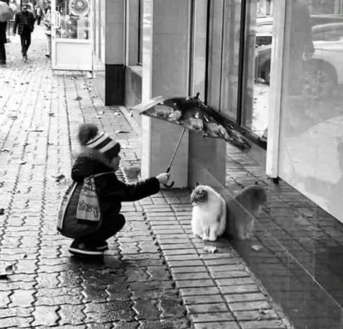 The 57 Best Black And White Photos According To The Street Photographers Foundation Awards