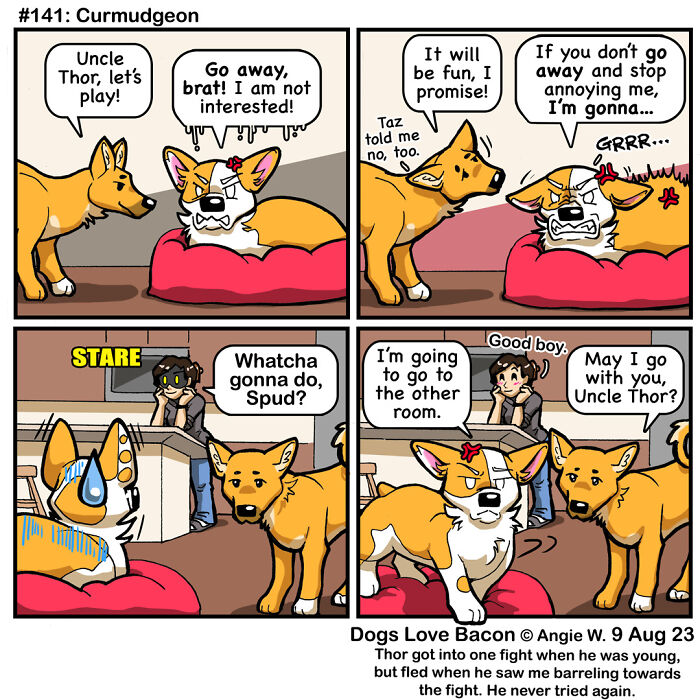 Comic strip showing the funny reality of being a dog owner with dogs interacting and a person observing them.