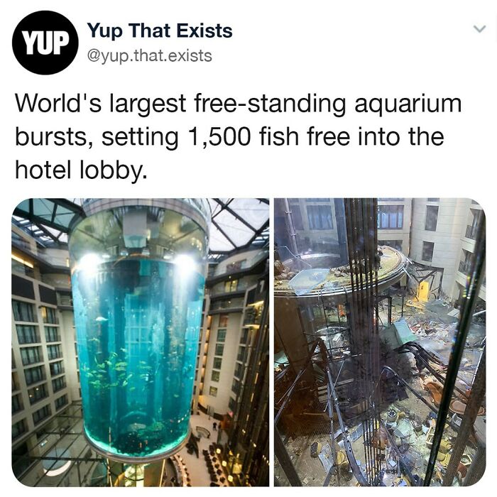 Run Fishies Run! 🐟 🐠 🐡