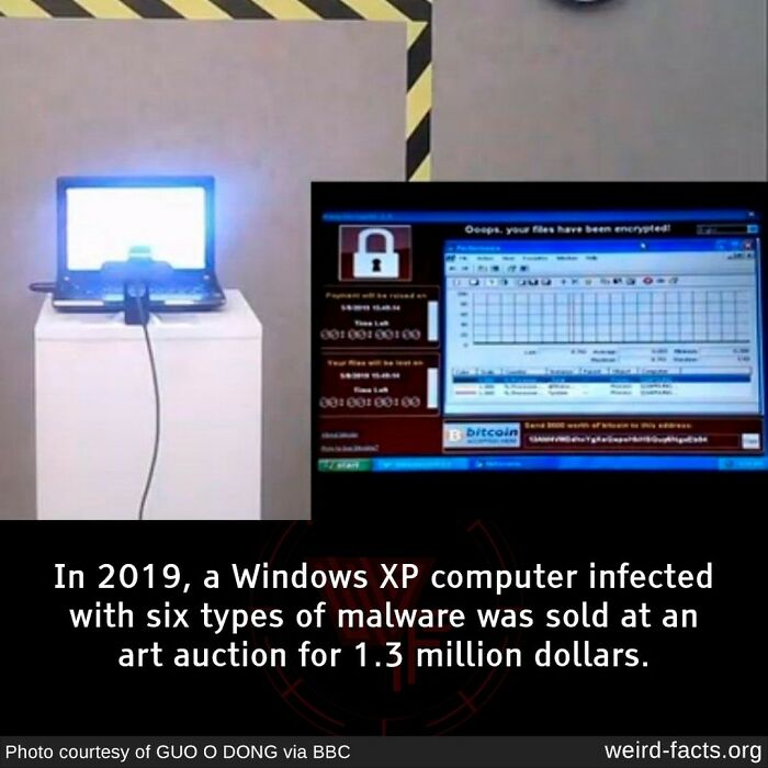 How Many Kilos On Top Of That