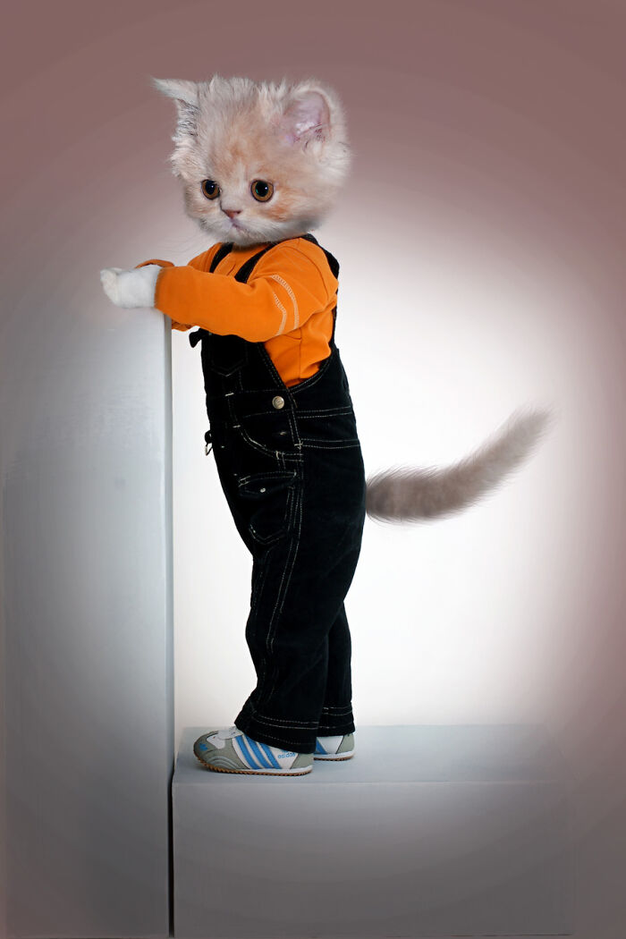 These Designers Were Challenged To Use Photoshop To Dress Animals (30 Pics)