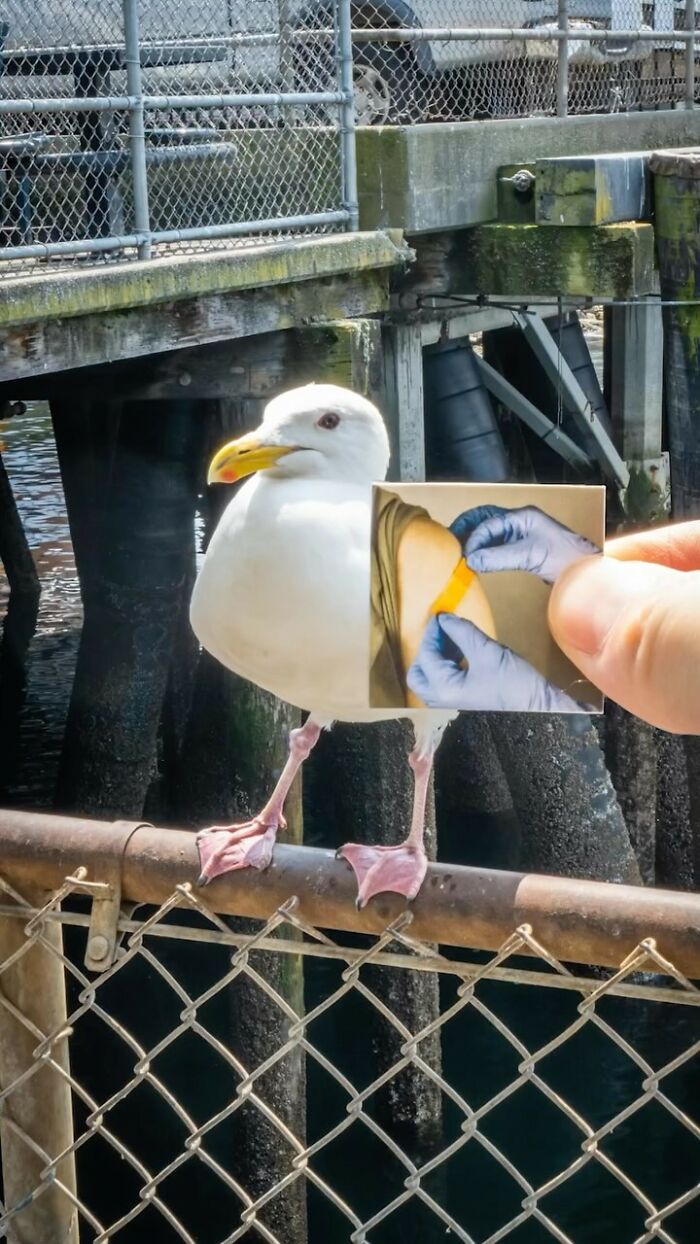 Pop Culture Character Stickers In The Streets