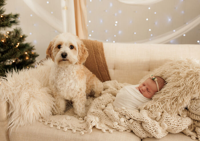 I Have Photographed A Lot Of Adorable Babies This Winter (10 Pics)
