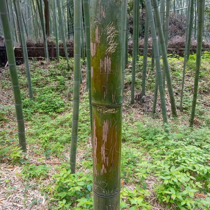 It Angers Me To No End When You Come To A Beautiful Place And Other Tourists Feel The Need To Leave Their Deliberate Mark On The Local Beauty